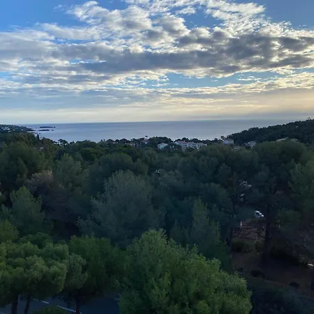2 Pieces Avec Terrasse Et Vue Mer, Acces Piscine Et Parking Inclus - Fr-1-504-677 Saint-Raphaël